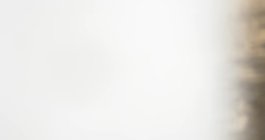 Free range white rooster bird observing through gap in fence parallax.