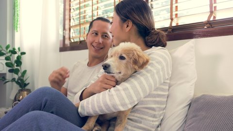 Dog Listen Music Stock Video Footage 4k And Hd Video Clips Shutterstock