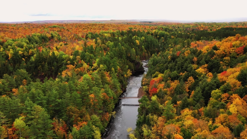 Beautiful aerial flying over the Bad River and a pedestrian bridge at Copper Falls with colorful fall foliage lining the river banks and cloudy sky above the horizon in autumn in Mellen, Wisconsin.