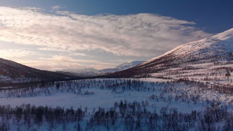 Aerial of a winter Norwegian landscape in the mountains at sunrise over a snow covered forest. Senja, Norway