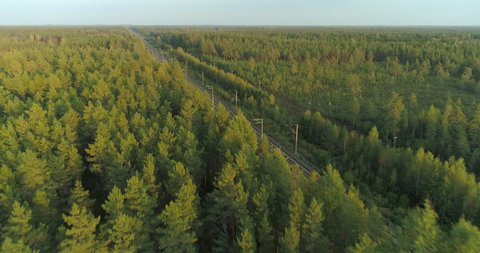 Aerial view of fast passenger train driving on railroad in forest at sunset