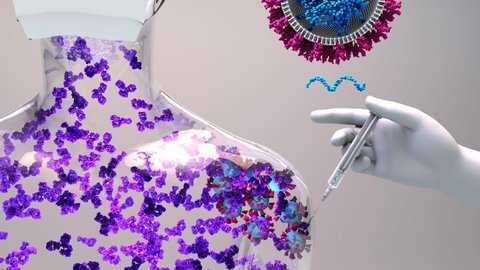 RNA vaccine new type of vaccine inserts fragments of the virus RNA into human cells to reprogram them to produce viral protein spikes then stimulate and immune response. 4k animation