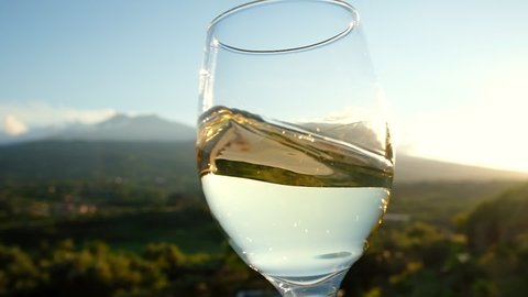 Sommelier waving young white wine in a glass in slow motion. Close up video of wine mixing process inside goblet. Degustation of fine white wine on the vineyards at sunny day. 