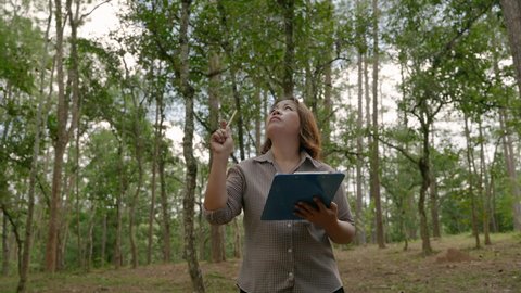 woman researchers are walking into academic records within the forest
