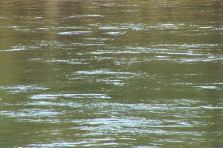 NTSC: Close up of river. Shot in Yellowstone National Park