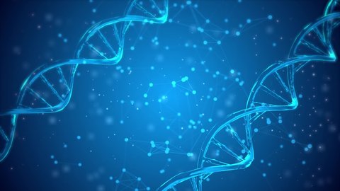 Wireframe DNA molecules structure mesh on soft blue loop background 4k. Medical background and abstract DNA science loop. Science concept and nano technology background.