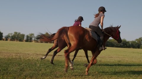 training of two horse riders, preparing for racing, equestrian sport