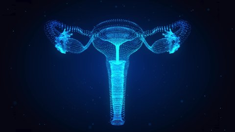 Female Reproductive System with Nervous System and Urinary Bladder Anatomy. Animation concept. Digital hologram 3d model.