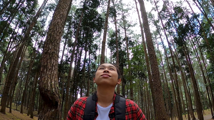 Young female traveler backpacking enjoying the nature view in the forest.