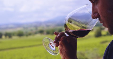 Close up shot of  male winemaker is tasting a flavor and checking red wine quality poured in transparent glass on vineyards background in a sunny day.