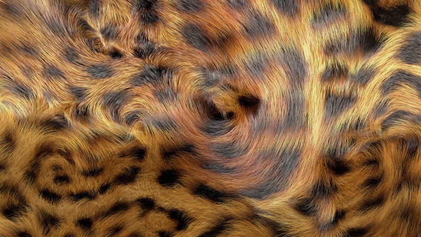 Jaguar fur background, gently waving, 3D generated animal print texture, 4k. | Shutterstock HD Video #1062986311