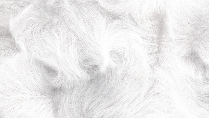 White fur animation, 3D generated, slowly waving white soft fur texture, 4K. Royalty-Free Stock Footage #1062986935