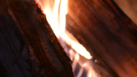 firewood's burn in a fire-place a fire