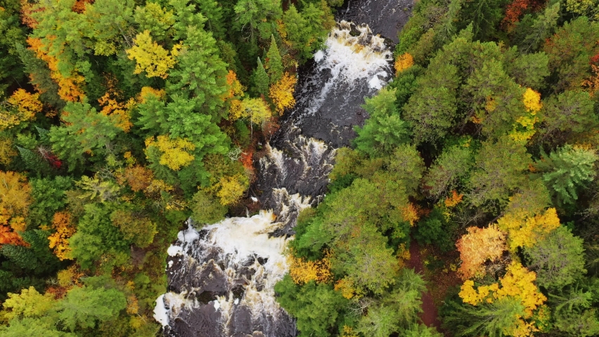 Aerial flying over the Tyler Forks river and the whitewater cascades above Brownstone Falls at Copper Falls with colorful  fall foliage lining the river banks in autumn in Mellen, Wisconsin