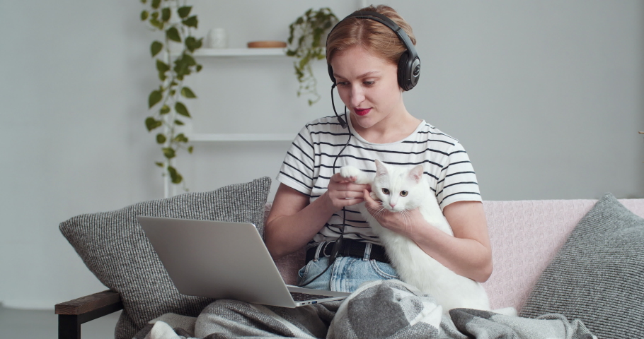 Young beautiful blonde girl sits on couch at home looks into laptop screen wears head microphone speaks with friends into webcam via video online conference chat hugs white cat greeting waving hello Royalty-Free Stock Footage #1062992950
