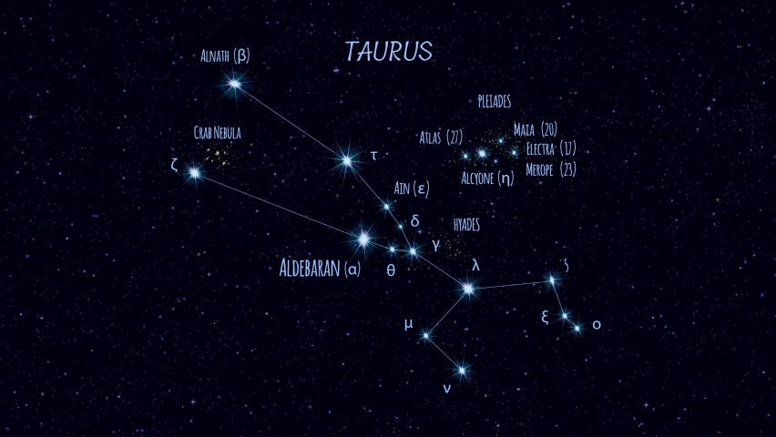Taurus Outline Stock Video Footage - 4K and HD Video Clips | Shutterstock