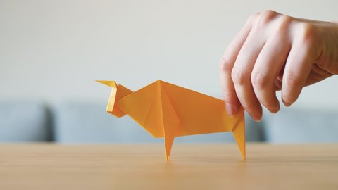 A hand moving yellow Origami Ox on table as symbol for a happy Chinese new year. Cow or bull is the Chinese zodiac sign for 2021. Animal made with traditional Japanese paper folding technique. 4K.