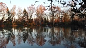 Winter morning on a little lake in a natural park - Powered by Shutterstock - Get 15% off with code: PIKWIZARD15