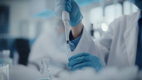 Medical Research Laboratory: Focus Shifting from Male Scientist Looking Under Micrsocope to Female Scientist Working with Micro Pipette. Advanced Scientific Lab Biotechnology, Medicine Development - Powered by Shutterstock - Get 15% off with code: PIKWIZARD15