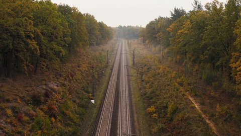 Passenger train rides by rail in a beautiful autumn forest from aerial view. Camera tracking the train with a smooth rise above the forest.