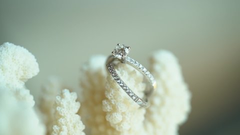 jewelry wedding ring with a gem on an original coral stand