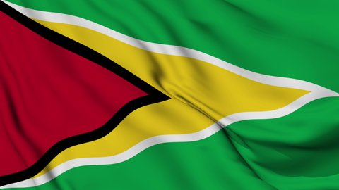 Flag of the Co-operative Republic of Guyana fluttering in the wind