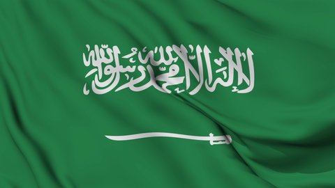 Ksa Flag Waving 3d Animation Saudi Stock Footage Video (100% Royalty 