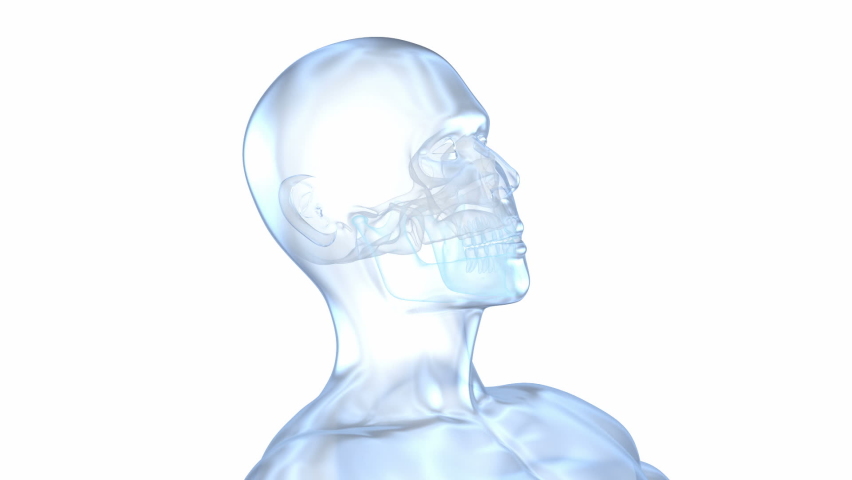 Sleep apnea syndrome. Labeled nasal tongue blocked airway, 3D animation Royalty-Free Stock Footage #1063077559
