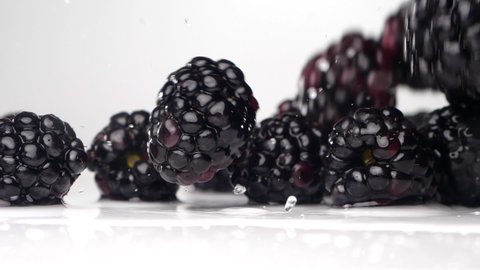 Juicy blackberries fall on the table. Сlose up slow motion.