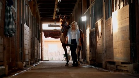 A beautiful blonde leads the horse out of the stable. The girl walks next to the horse in the stable.