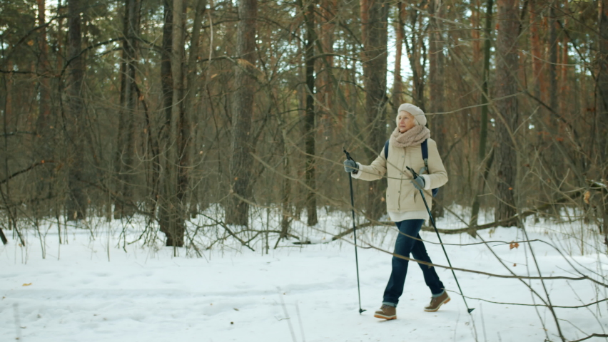 Active retired woman is enjoying nordic ski walking in winter wood looking around smiling watching season nature. Senior people and sports concept.