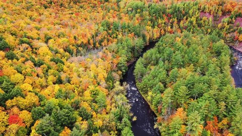 Incredible aerial flying down the Bad River towards a horseshoe shaped river bend with colorful fall foliage lining the river banks in autumn at Copper Falls park in Mellen, Wisconsin.