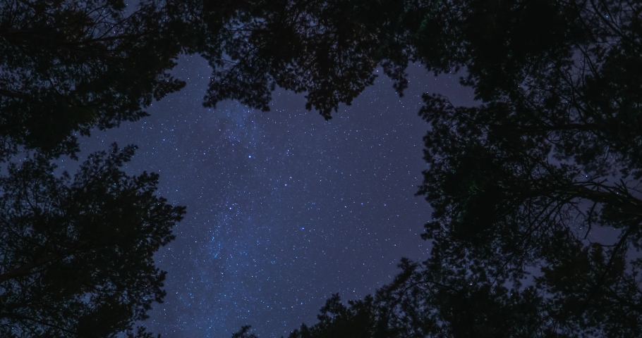 Timelapse of night forest. Starry sky is visible between trees. Fast movement, Earth rotation demonstration