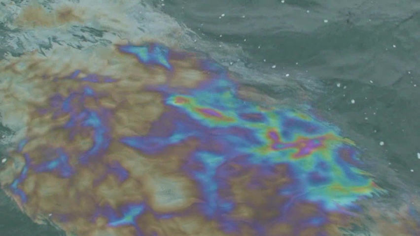 Sea pollution: petroleum spots on the troubled surface of the sea. Royalty-Free Stock Footage #1063131406