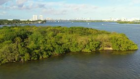Mangroves in Miami Biscayne Bay 4k 24p