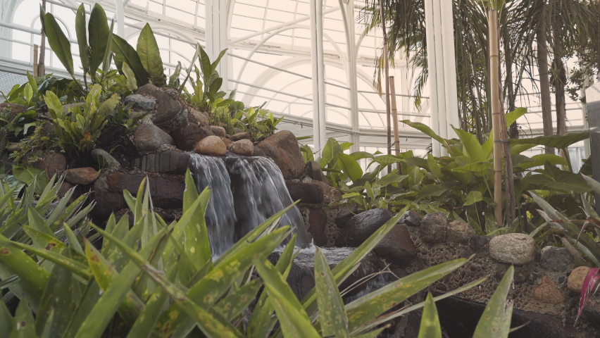 Morning botanical garden greenhouse stream with amazon plant species, Curitiba, Brazil