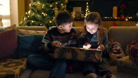 Two amazing adorable kids opening magic gift box with christmas present inside. Siblings. In background decorated Christmas tree. Family and holidays.