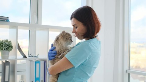Woman veterinarian petting cat on hands standing in veterinary clinic cabinet