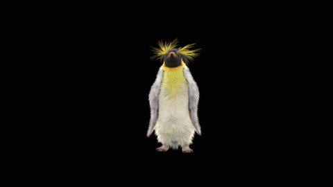 penguin Dancing CG fur 3d rendering. Included in the end of the clip with Alpha matte.