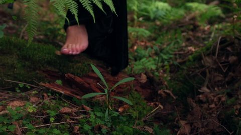 Girl's bare feet on green grass. Female's walk in the forest. Legs of a woman in long dress among fresh moss. Close-up.