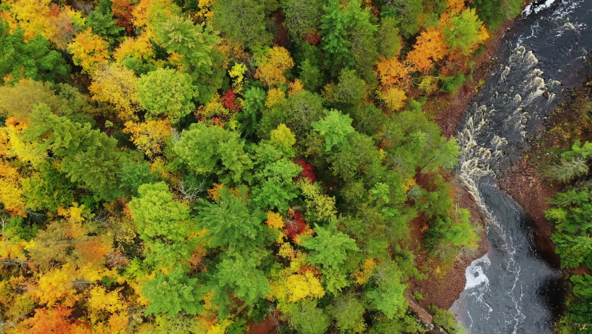 Beautiful look down aerial flying diagonally across a red rock formation on the Bad river with colorful fall foliage and red rock lining the river banks in autumn at Copper Falls park in Wisconsin.