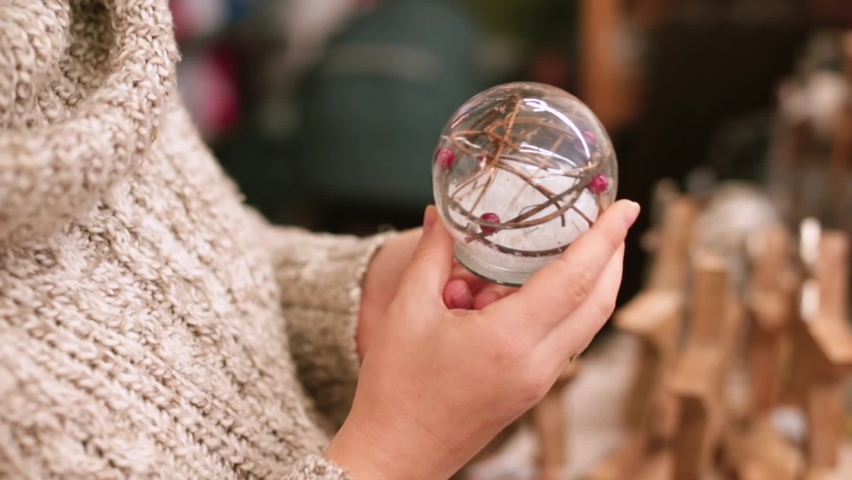 Miniature souvenir in hand. A transparent ball with snow, a brown natural twig and rowan red berries touch and shake. A reminder of the countryside. Royalty-Free Stock Footage #1063185640