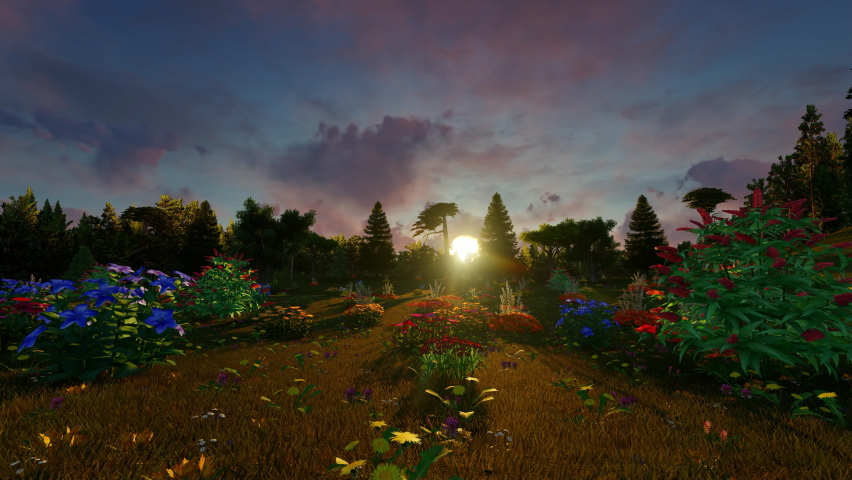 Beautiful flowers on green grass in sunset time