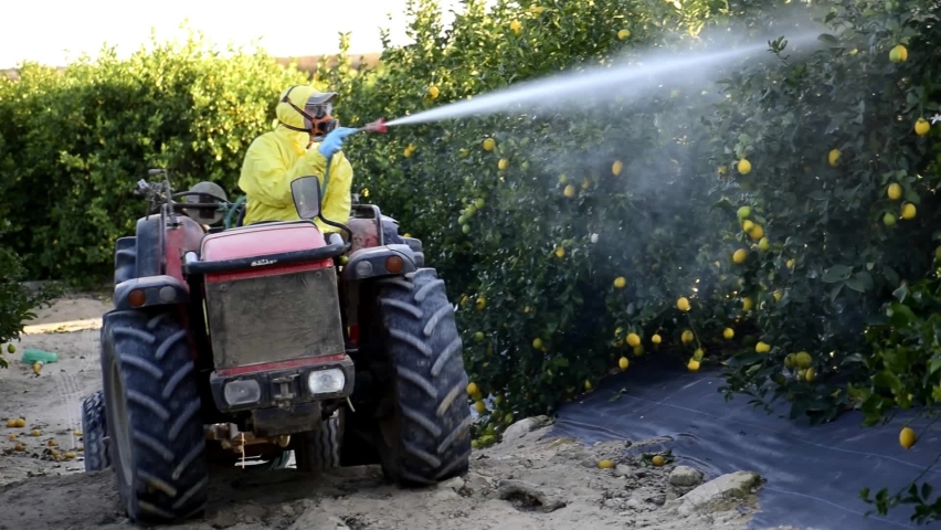Spray ecological pesticide, pest, pesticides. Farmer fumigate in protective suit and mask lemon trees. Man spraying toxic pesticides, pesticide, insecticides  Royalty-Free Stock Footage #1063199503