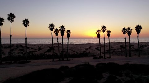 SOUTHERN CALIFORNIA - CIRCA 2020 - Beautiful aerial through palm trees at sunset at a Southern California beach.