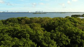 Mangrove Island nature landscape aerial Miami video 4k