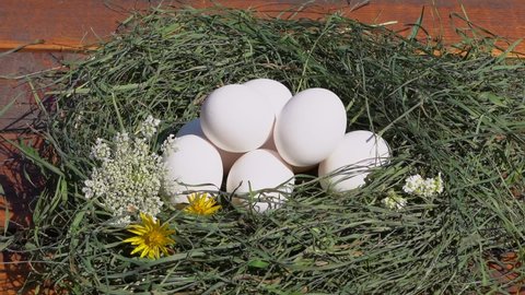 Closeup view video of several white fresh chicken eggs laying inside of cute green nest isolated on brown wooden background. Easter eggs in nest.