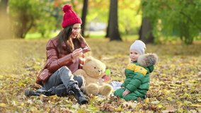 young mom or nanny are playing in the park. mom blows soap bubbles. walk in the autumn on the nature. happy family. close up view. Slow motion video. stock footage
