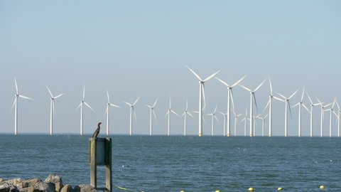 Offshore wind farm Windpark Noordoostpolder near Urk, Flevoland, The Netherlands, with a seabird (european shag) on the foreground.