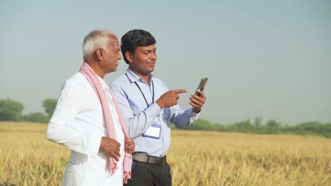 Farmer and banker or corporate government officer discussing by looking into mobile phone about crop yield, credit and loan subsidy at agriculture farmland during hot sunny day